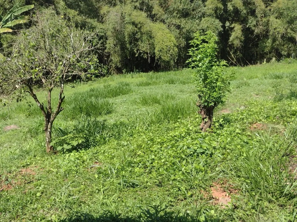 Fazenda, 150 m² - Foto 6