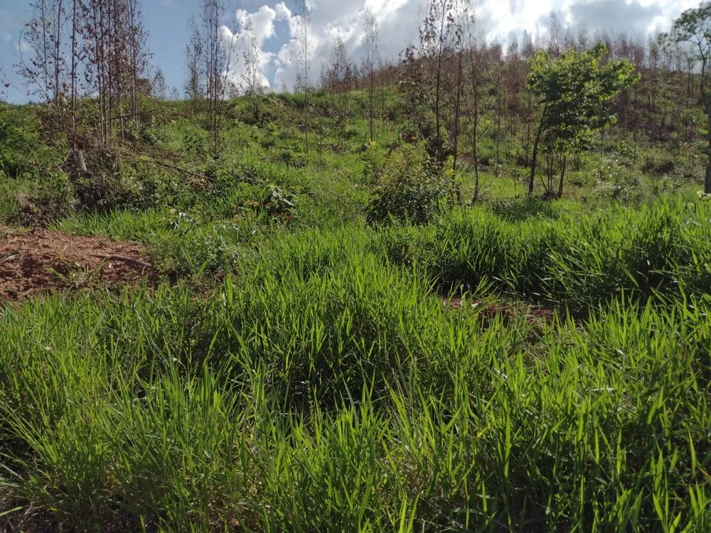 Fazenda, 150 m² - Foto 3