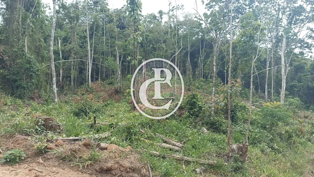 Terreno, 2 hectares - Foto 3
