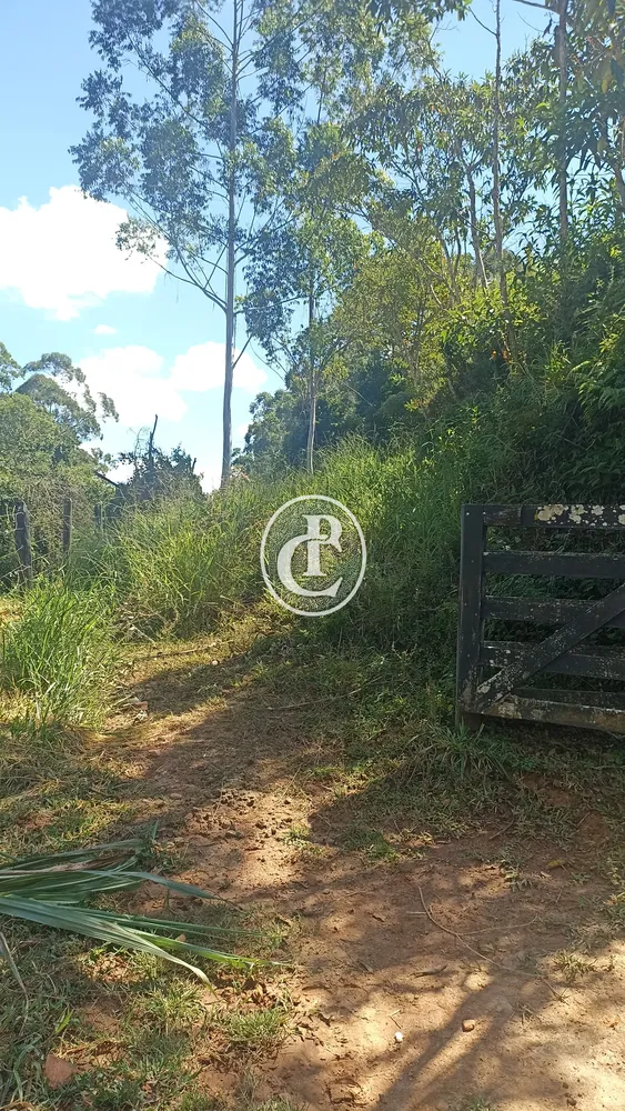 Sítio, 2 quartos, 11 hectares - Foto 7