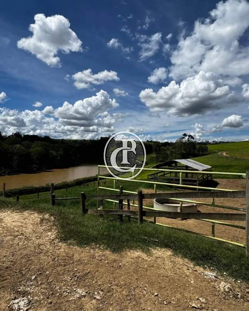 Fazenda, 97 hectares - Foto 8