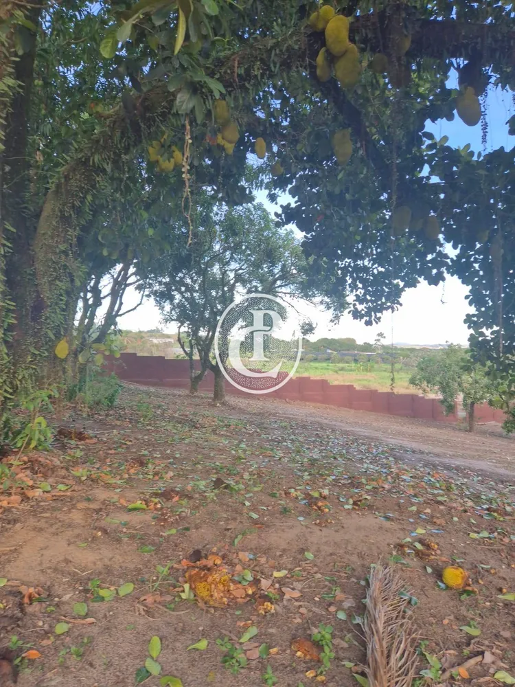 Sítio, 3 quartos, 17 hectares - Foto 6