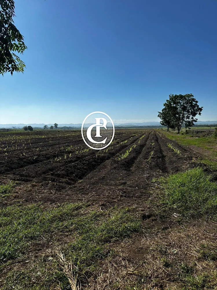 Sítio, 3 quartos, 17 hectares - Foto 12