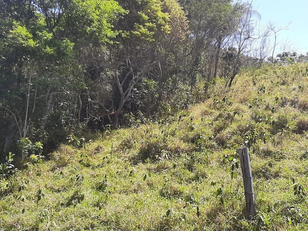 Fazenda, 200 m² - Foto 19