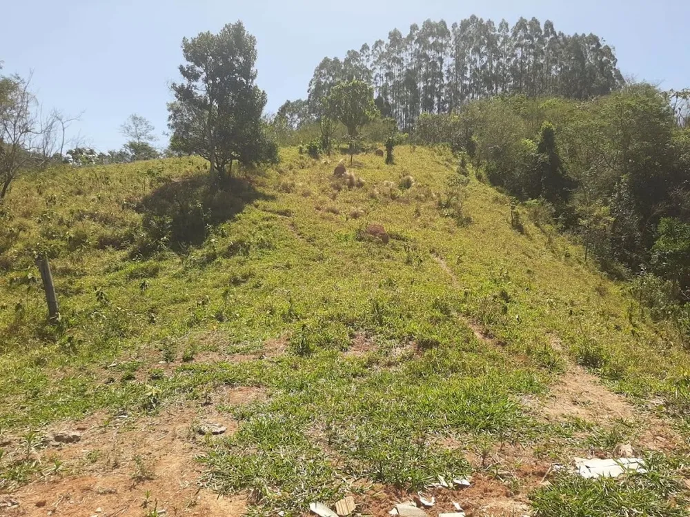 Fazenda, 200 m² - Foto 13