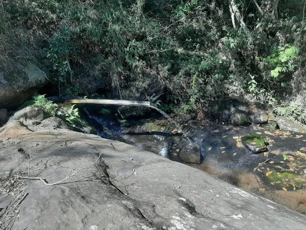 Fazenda, 200 m² - Foto 5