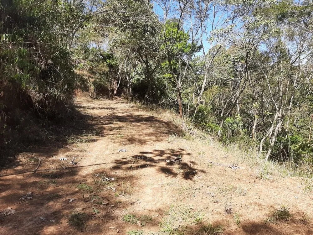 Fazenda, 200 m² - Foto 9