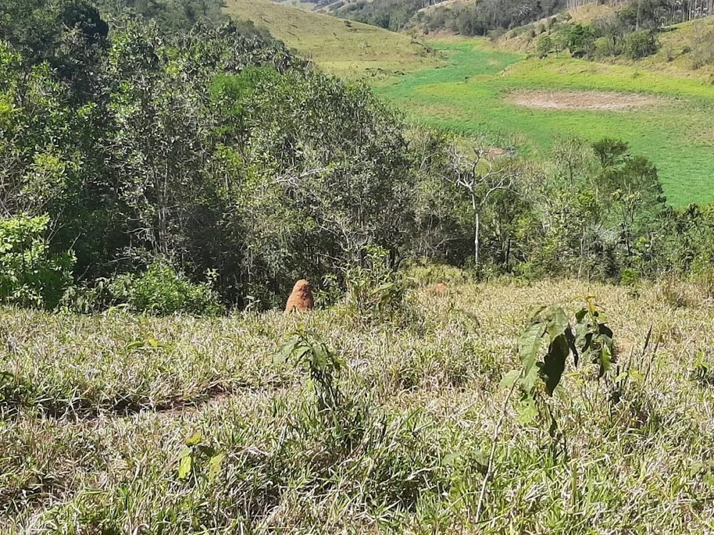 Fazenda, 200 m² - Foto 16