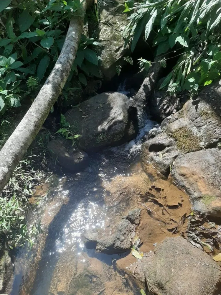 Fazenda, 200 m² - Foto 7
