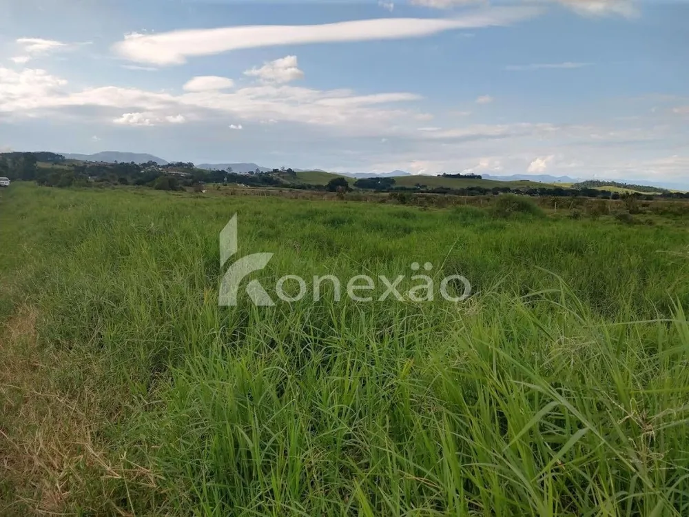 Sítio, 1 quarto, 300 m² - Foto 3