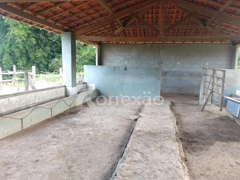 Sítio, 1 quarto, 300 m² - Foto 16