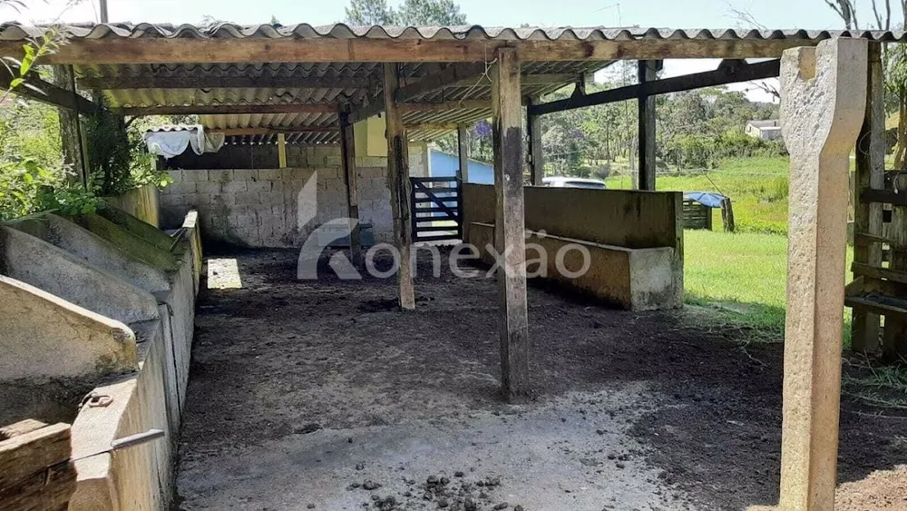 Sítio, 3 quartos, 200 m² - Foto 6