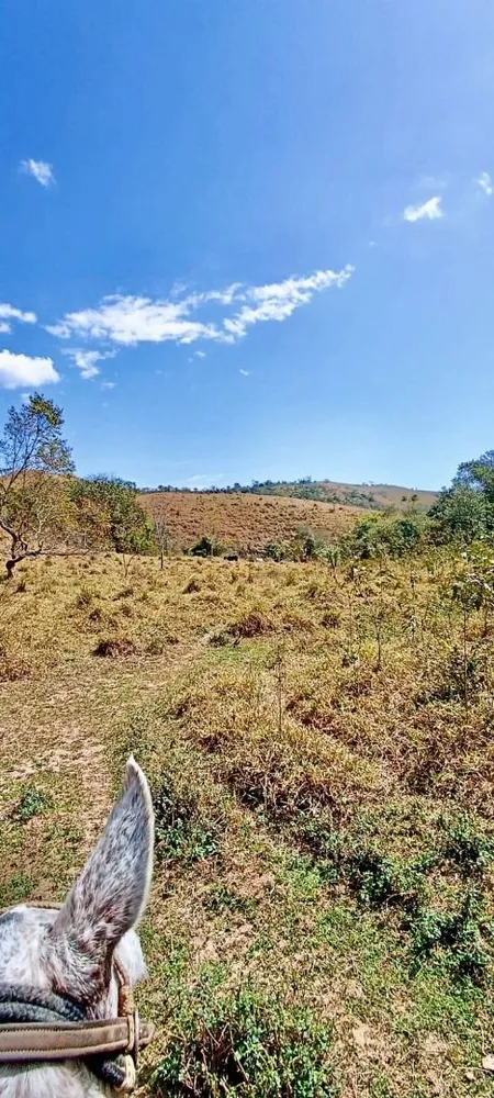 Fazenda, 100 m² - Foto 2