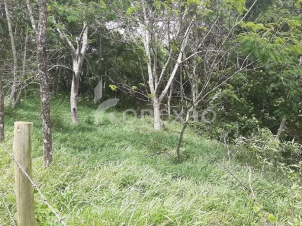 Terreno, 500 m² - Foto 4