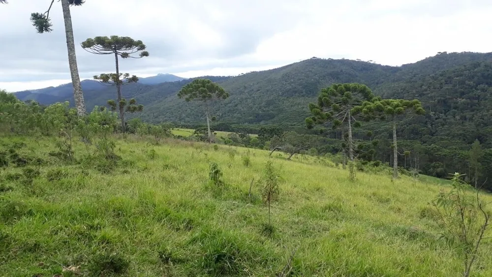 Terreno, 911 m² - Foto 8