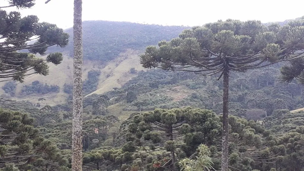 Terreno, 911 m² - Foto 6