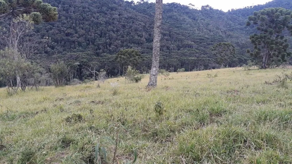 Terreno, 911 m² - Foto 1