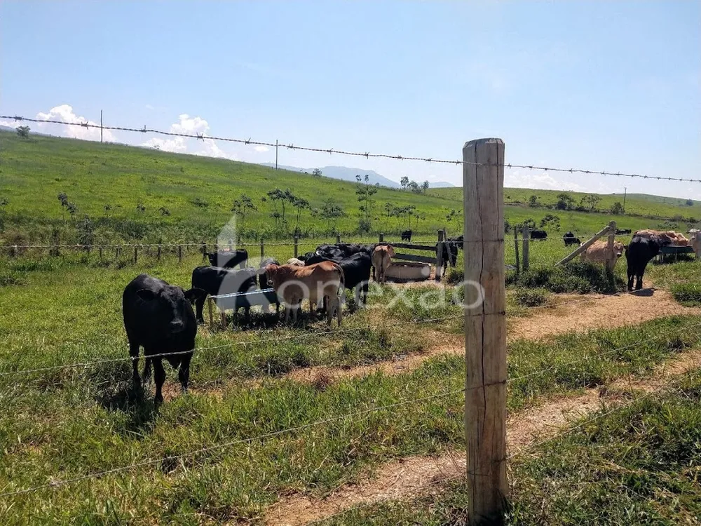 Fazenda, 249 m² - Foto 5