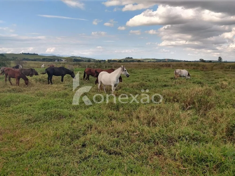 Fazenda, 249 m² - Foto 15