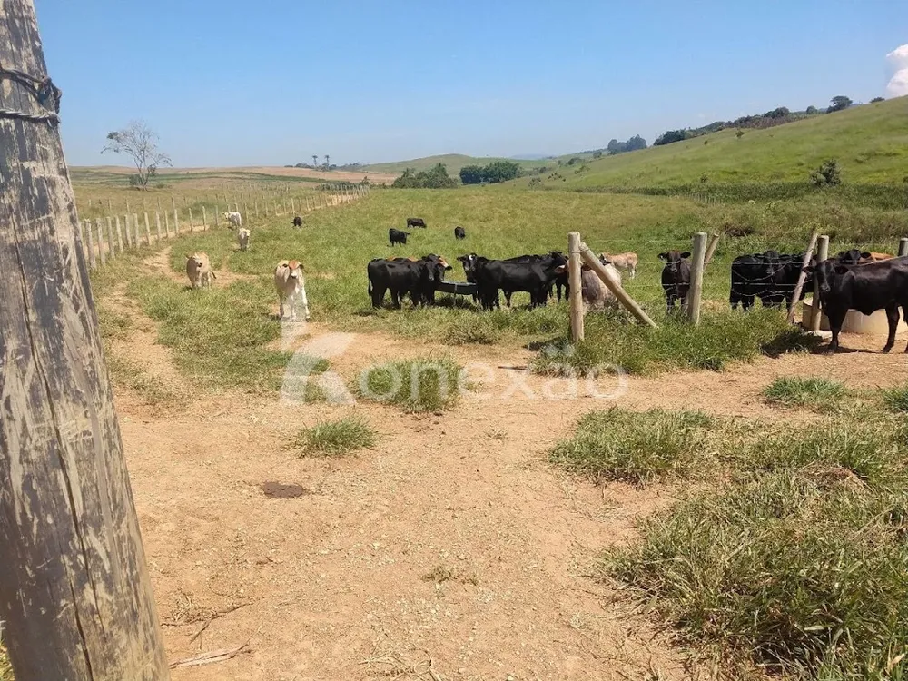 Fazenda, 249 m² - Foto 2