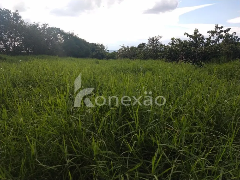 Fazenda, 249 m² - Foto 11