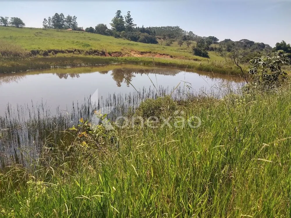 Fazenda, 249 m² - Foto 3