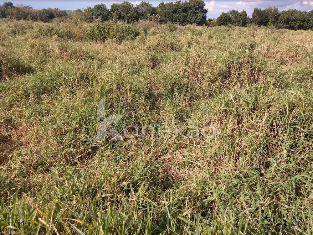 Fazenda, 249 m² - Foto 10