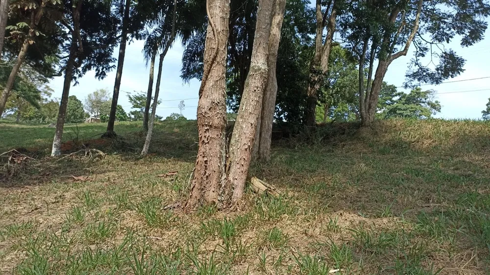 Terreno, 100 m² - Foto 12