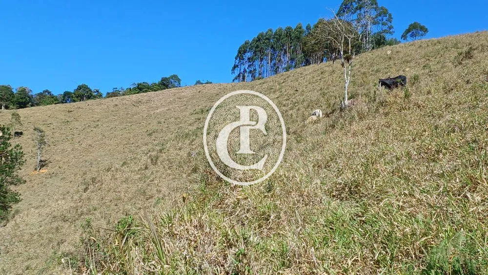 Chácara, 2 quartos, 5 hectares - Foto 11