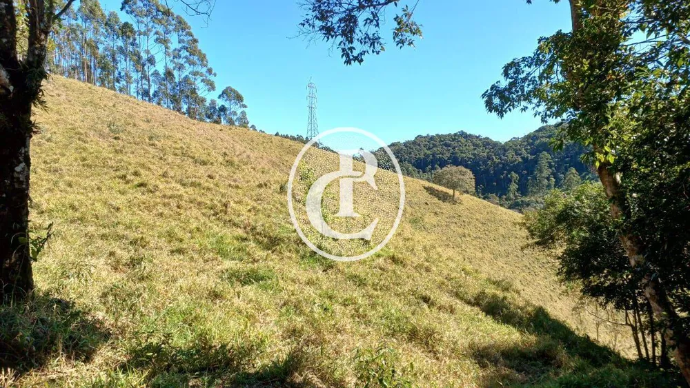 Chácara, 2 quartos, 5 hectares - Foto 7