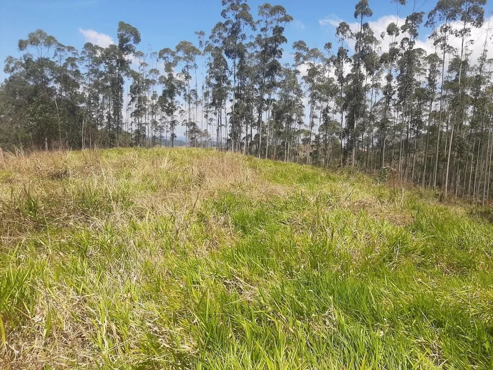 Fazenda, 200 m² - Foto 10