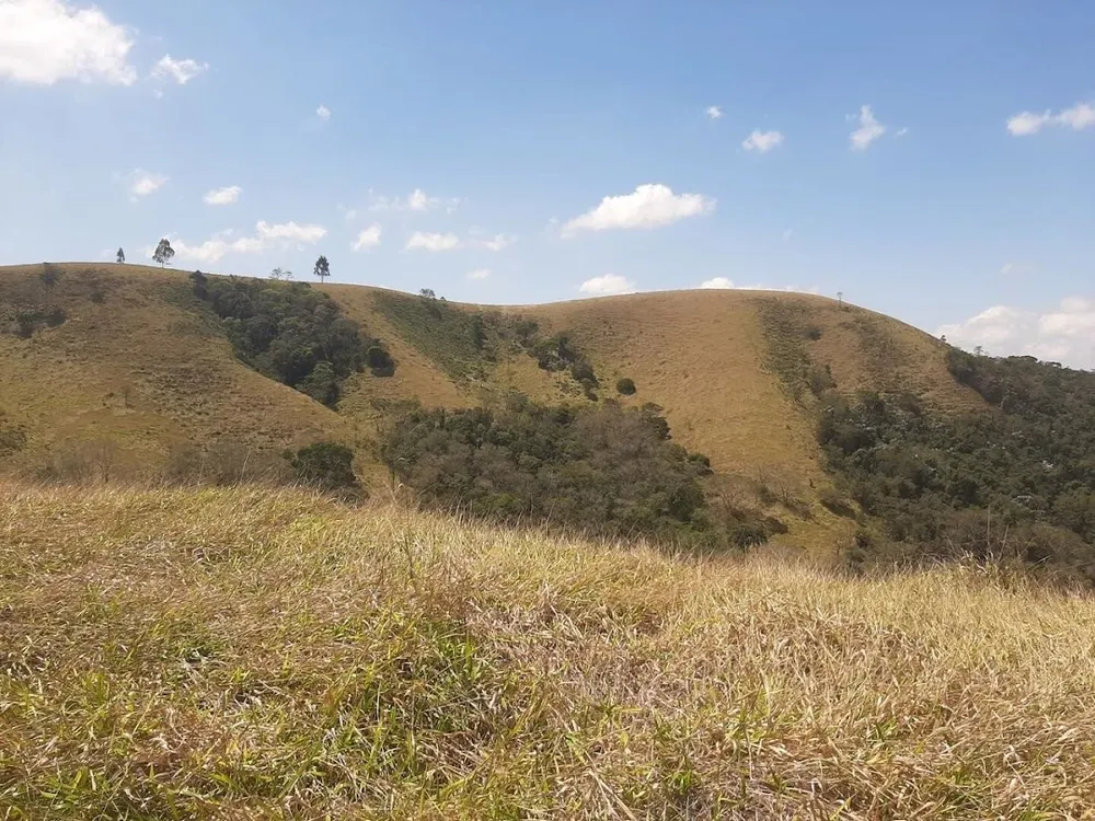 Fazenda, 200 m² - Foto 15