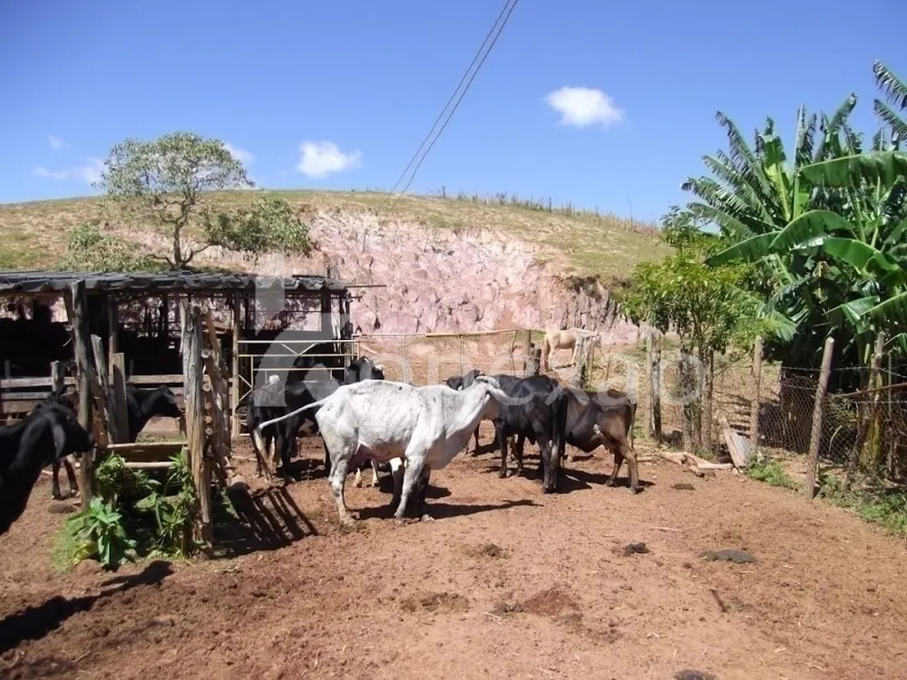 Fazenda, 200 m² - Foto 6