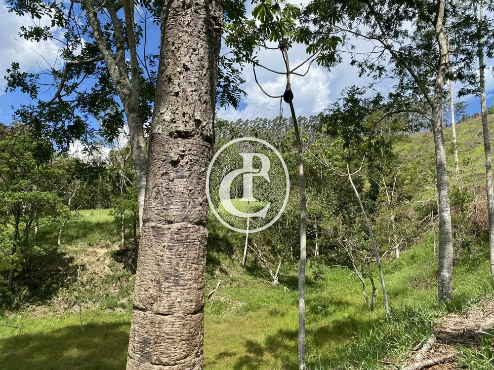 Sítio, 2 quartos, 49 hectares - Foto 7