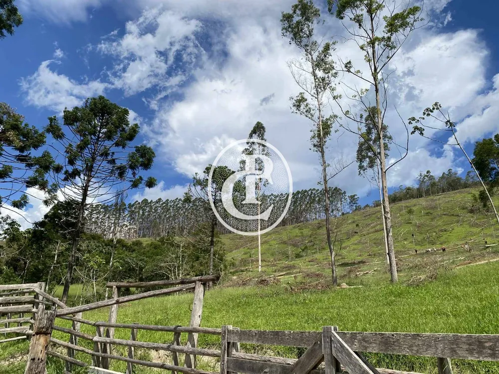 Sítio, 2 quartos, 49 hectares - Foto 6