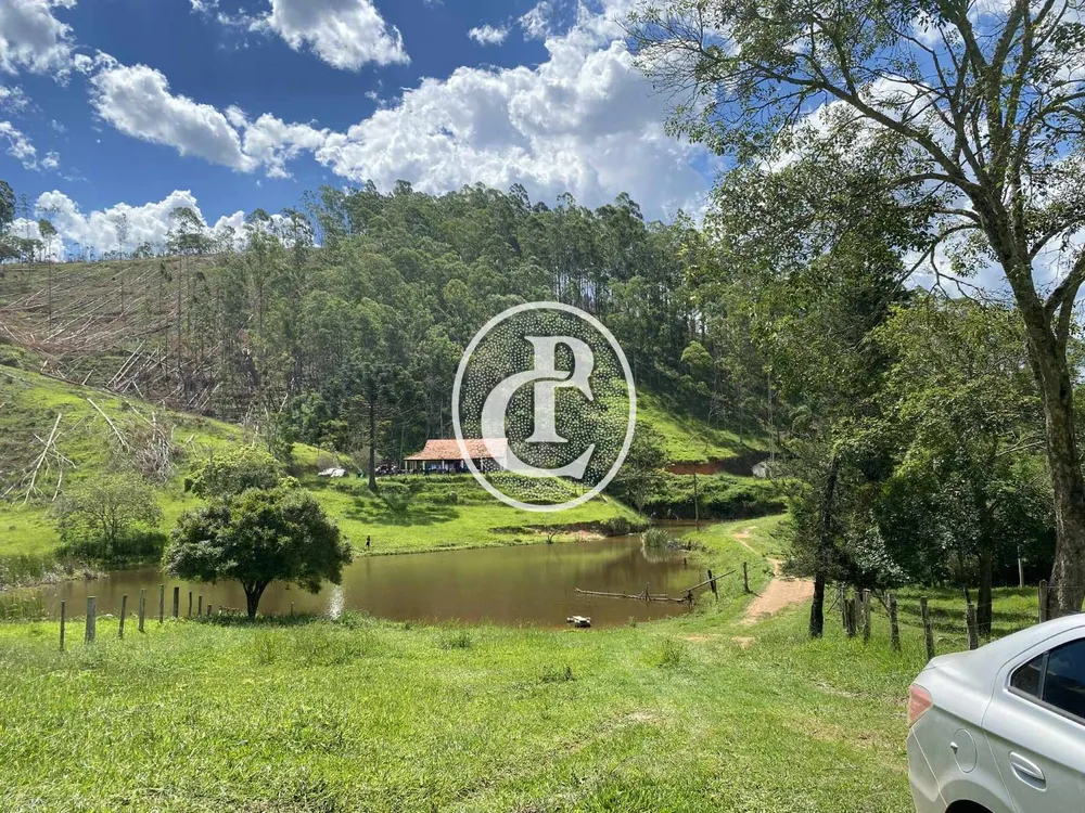 Sítio, 2 quartos, 49 hectares - Foto 4
