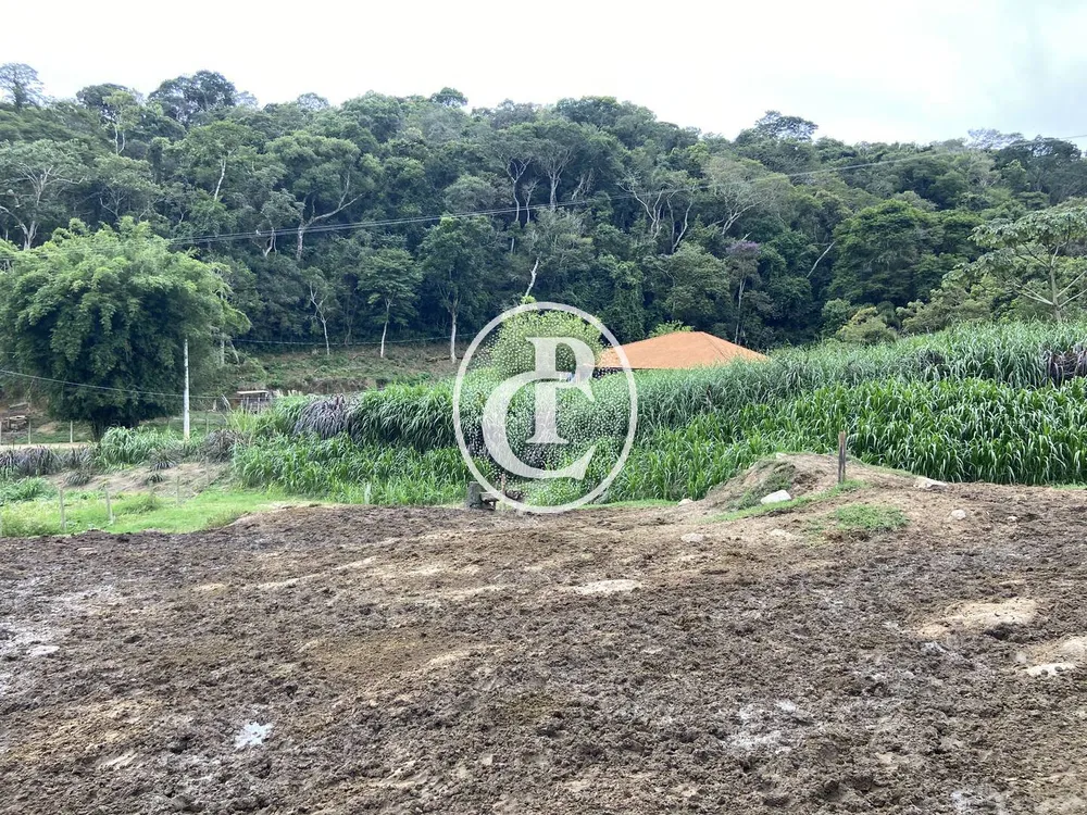 Sítio, 3 quartos, 19 hectares - Foto 6