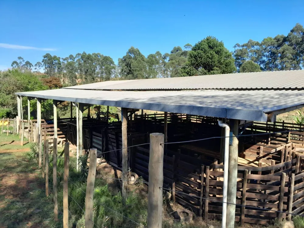 Fazenda, 700 m² - Foto 6