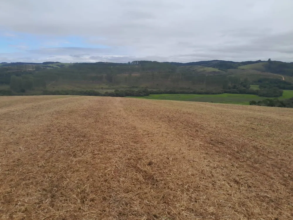 Fazenda, 700 m² - Foto 4
