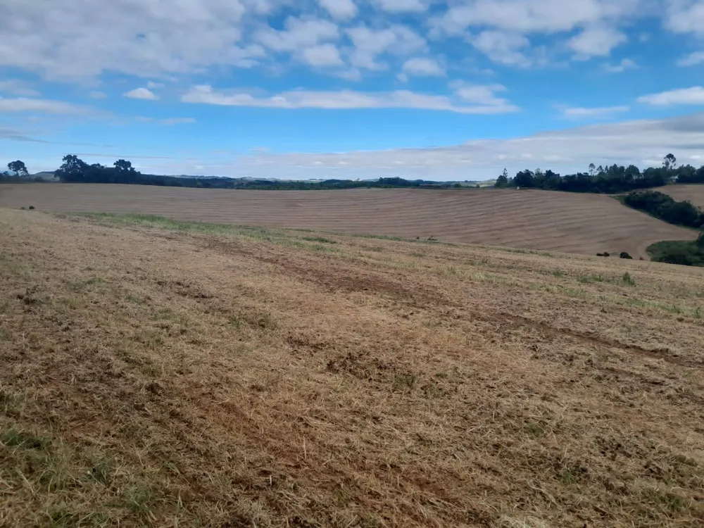 Fazenda, 700 m² - Foto 3