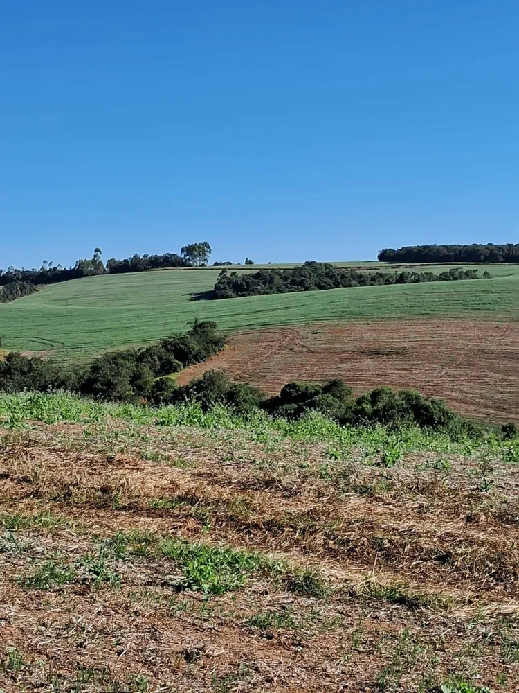 Fazenda, 700 m² - Foto 5