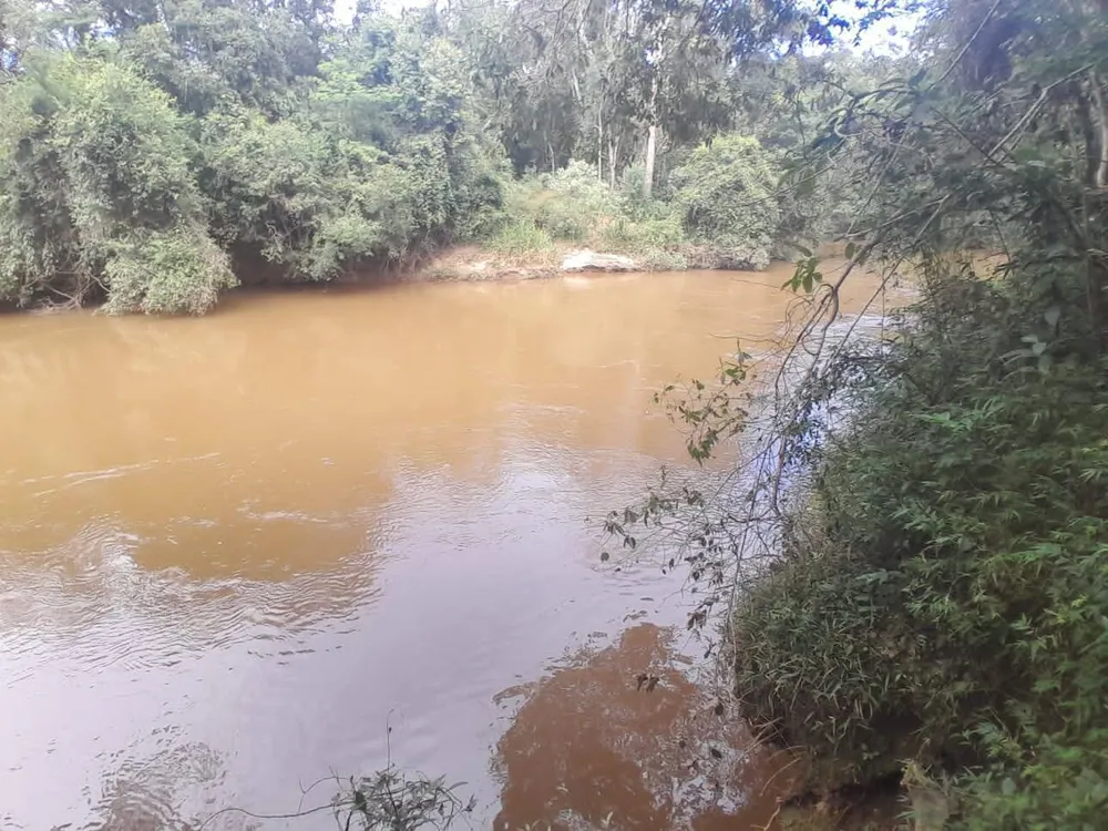 Fazenda, 700 m² - Foto 2