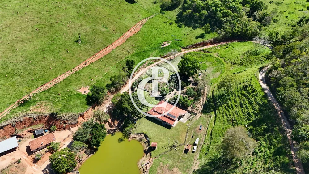 Sítio, 4 quartos, 2 hectares - Foto 3