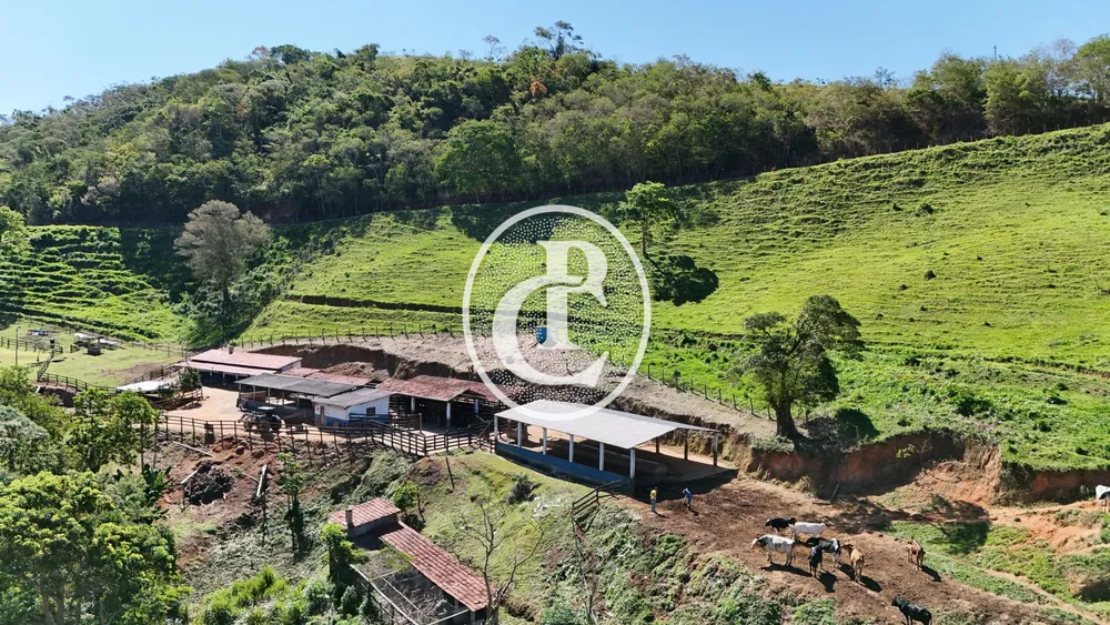 Sítio, 4 quartos, 2 hectares - Foto 4