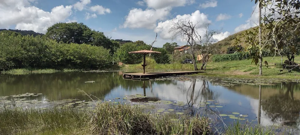 Fazenda, 174 m² - Foto 5