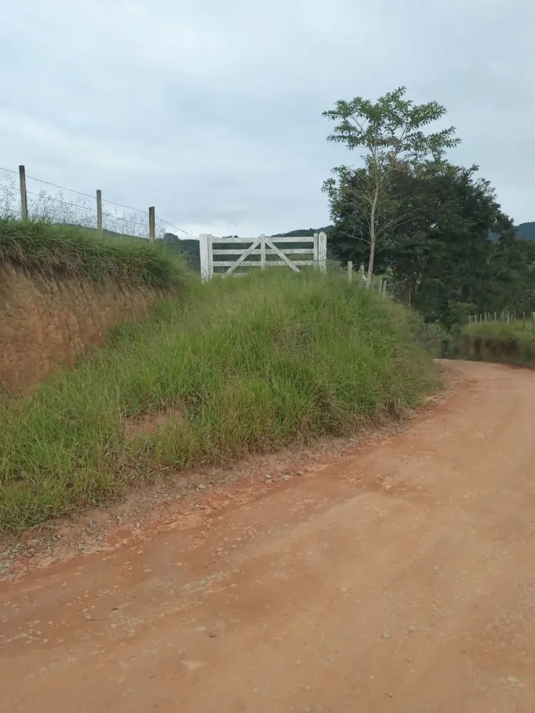 Sítio, 4 quartos, 300 m² - Foto 4