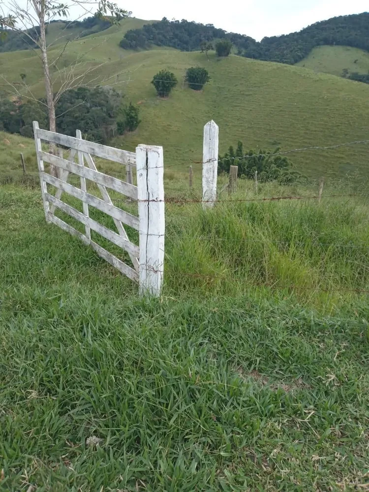 Sítio, 4 quartos, 300 m² - Foto 5