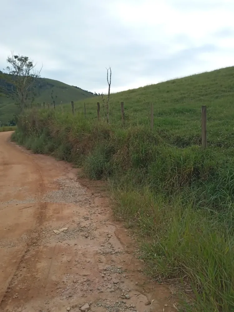 Sítio, 4 quartos, 300 m² - Foto 3