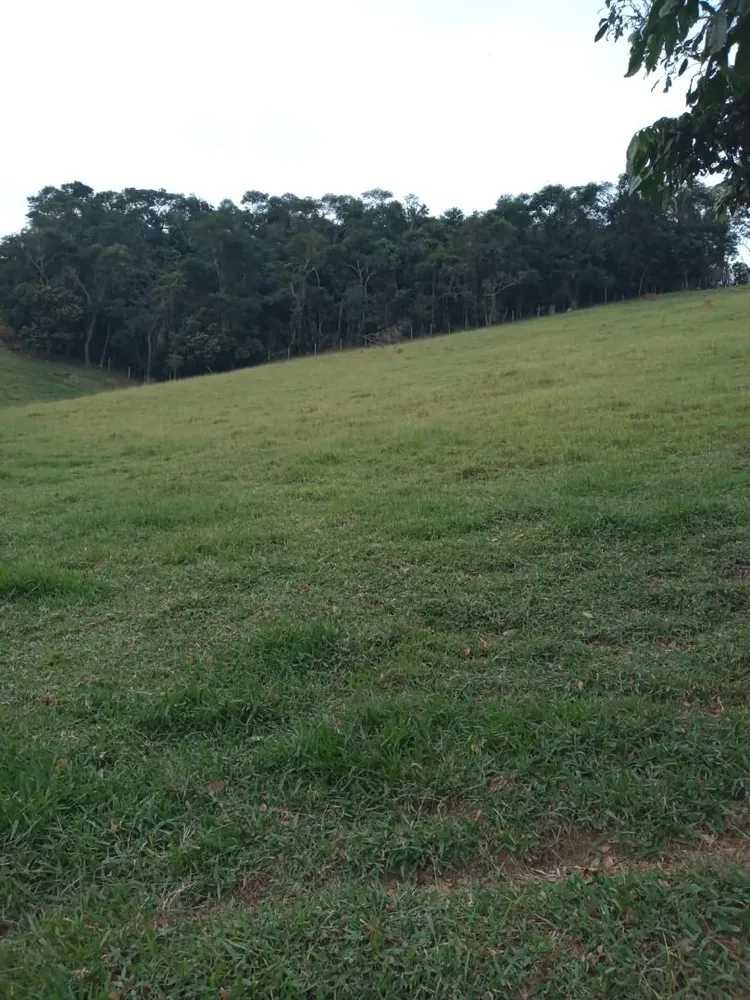 Sítio, 4 quartos, 300 m² - Foto 6