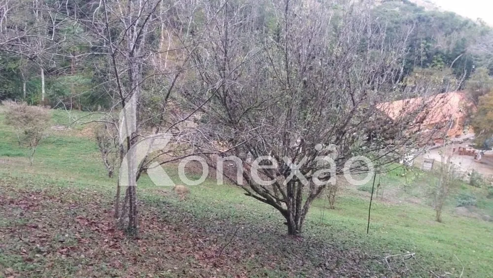Sítio, 3 quartos, 150 m² - Foto 15